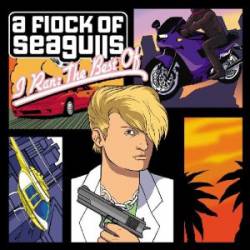 A Flock Of Seagulls : I Ran: the Best of